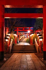 Obraz na płótnie Canvas 愛知県犬山市　犬山城下町の三光稲荷神社　夜の鳥居のライトアップ