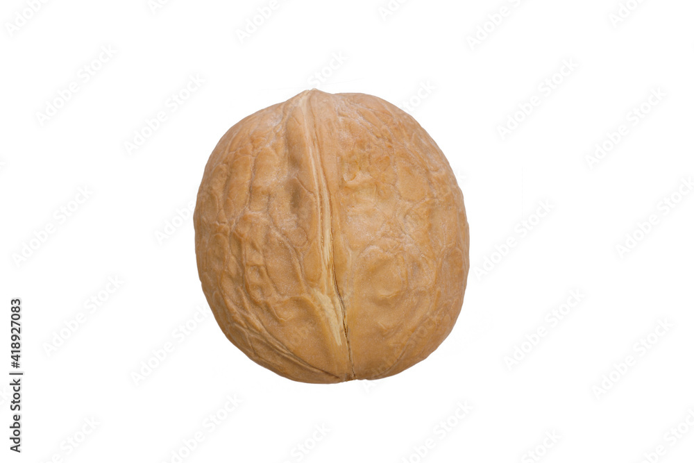 Aufkleber walnut in shell isolated on white background