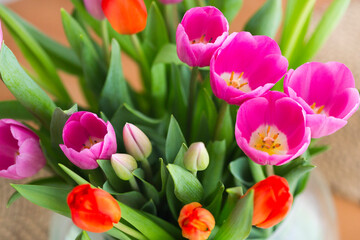Pink and red tulips in transparent glass vase