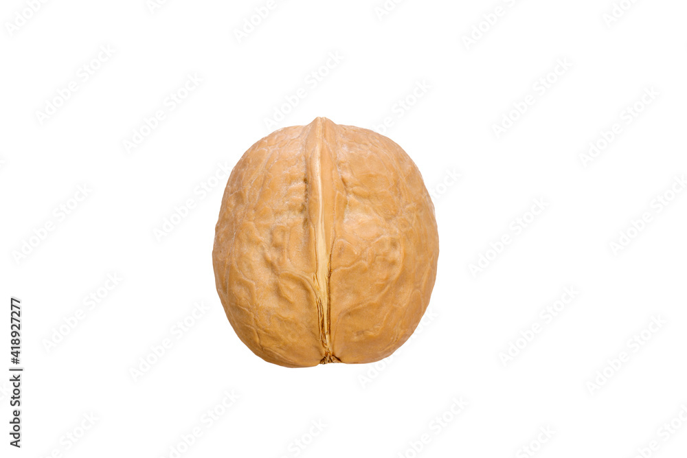 Poster walnut in shell isolated on white background