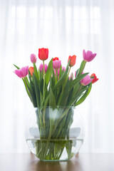 Pink and red tulips in transparent glass vase