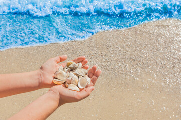 The hands of a young girl hold a pile of shells against the background of the blue sea on the beach close-up