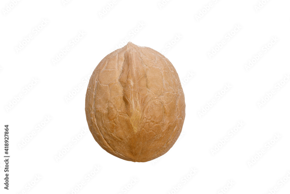 Poster walnut in shell isolated on white background