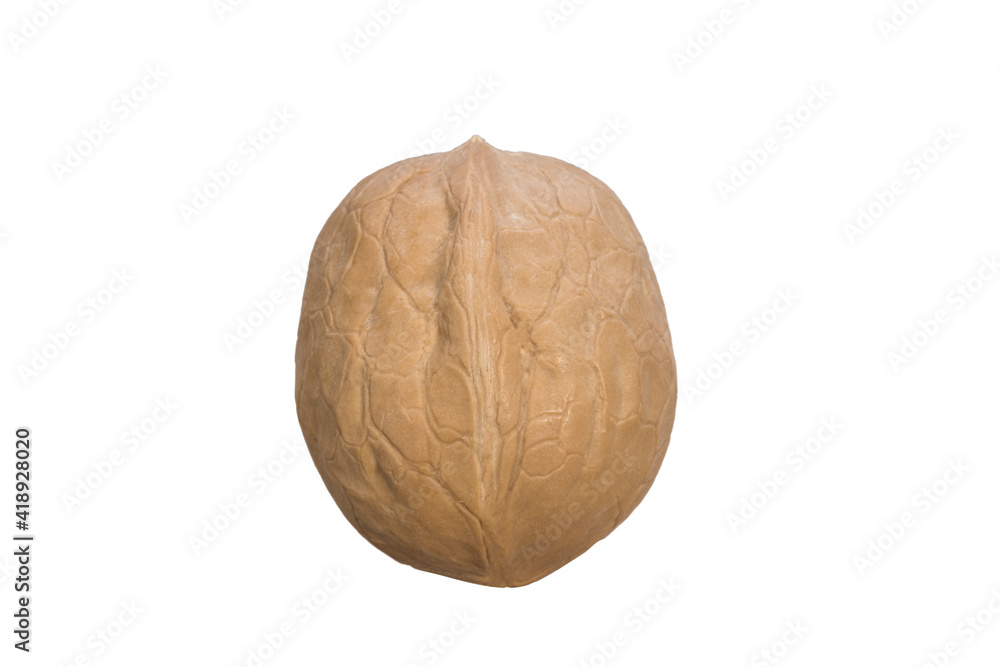 Poster walnut in shell isolated on white background