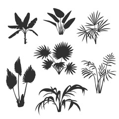 Fototapeta premium Palm Plants Silhouettes