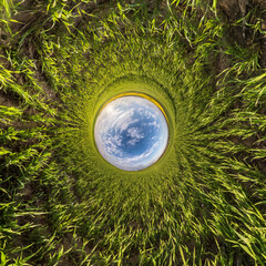 blue sky ball among green grass. Inversion of tiny planet transformation of spherical panorama 360...