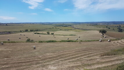 Obraz premium Paysage de Sicile