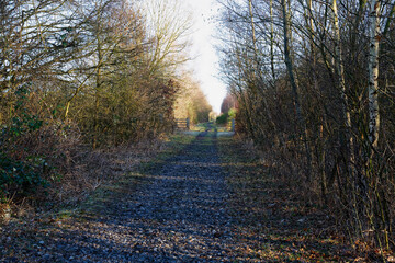 Following the route of a former railway line on a winter morning