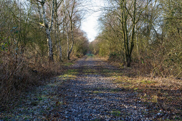 Tree lined footpath along a disused railway in the morning winter sun