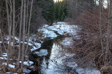 Latvian winter - spring landscape with woodland and ditch in sunset