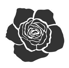 Vector rose flower decoration object element retro of symbol