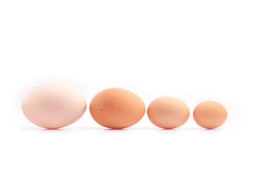 eggs - four chicken eggs of different sizes lined up, sorted by size, isolated on white background
