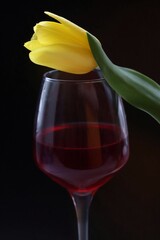 Yellow tulip and glass of red wine