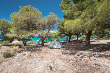 Camping tent on the mediterranean coast in olive tree shade