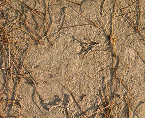 Wall texture, hole, background, tree bark, strokes, cracks, rust, stones, asphalt