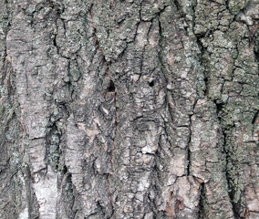 Wall texture, hole, background, tree bark, strokes, cracks, rust, stones, asphalt