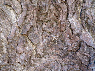 Wall texture, hole, background, tree bark, strokes, cracks, rust, stones, asphalt