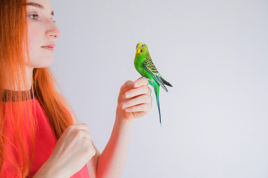 The beautiful woman admires her beautiful parrots