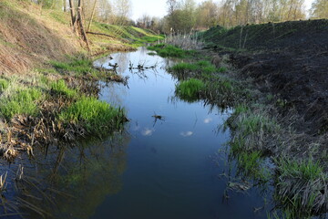 swamp among the fields Russia summer