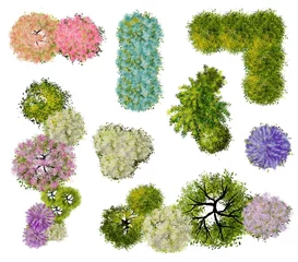 Foto op Plexiglas Verzameling van abstracte aquarel boom bovenaanzicht geïsoleerd op een witte achtergrond voor landschapsplan en architectuur lay-out tekening, elementen voor milieu en tuin, bloesem gras illustratie, bloem © Chanya_B