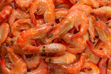 Shrimps background texture. A lot of shrimps. Cooked shrimps.