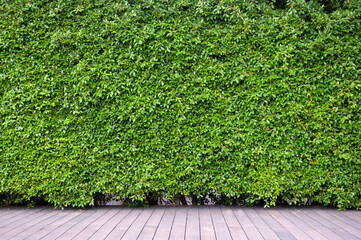 wood floor with plant tree background. outdoor landscape.