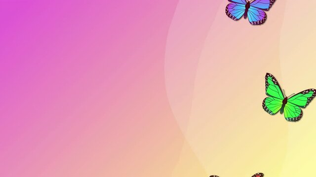 beautiful spring and summer design animation with butterflies on light pink background. Looped animated stock footage with copy space. Colorful butterflies flying up. 2d style