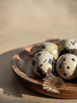 Farm Organic Quail Eggs On Wooden Plate With Brown Feathers On Craft Paper In Morning Sun