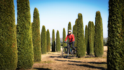 nice active senior woman riding her electric mountain bike in a caypress forest in Tuscany, Italy