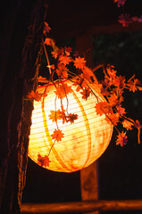 Warm Chinese lantern with small leaves hanging near the tree in the evening