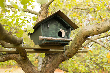 größeres Vogelhaus im Baum