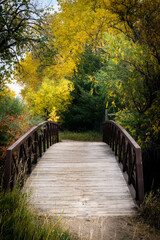autumn scene with colorful leaves