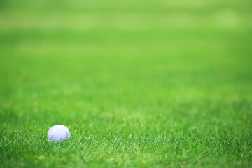 Golf ball on green grass background