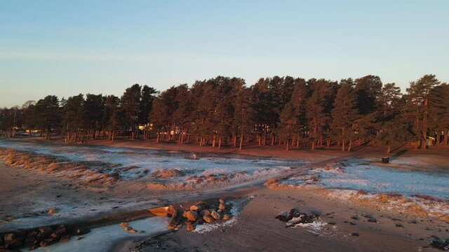Drone footage of a beautiful beach with pine forest and dunes covered in snow at sunrise. Southern Norway