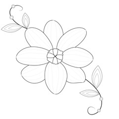 Flower line art picture on white background