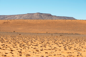 Fototapeta na wymiar afternoon desert landscape