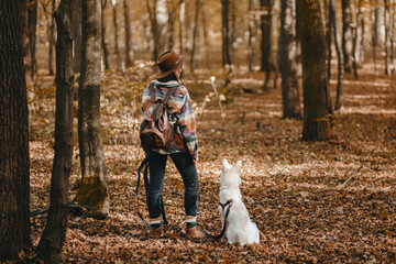 Fototapeta premium Stylish woman with backpack hiking with white dog in sunny autumn woods. Cute swiss shepherd puppy