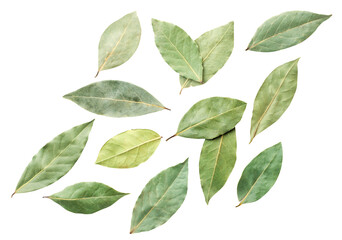 Dry bay leaves flying on a white. Top view.