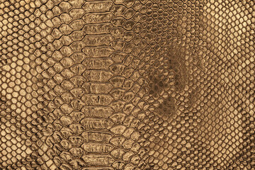 The textured background of snakeskin pattern. Golden snake-like skin texture