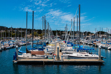 Many sailboats sit idle waiting to be sailed from the Monterey Bay Marina - obrazy, fototapety, plakaty