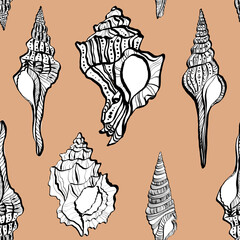 Seashells linear seamless pattern on coral sands background