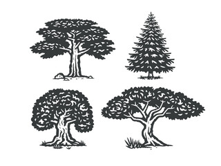 A set of vector trees. Monochrome version.