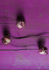 dry roses on purple canvas texture, flat lay, still life with flowers, mood board