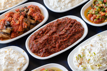 Traditional Turkish and Greek food appetizer table. Grilled eggplant salad (saksuka), Anamur salad, Baba Ghanoush (Mutabbal), pasha appetizer, spicy paste or harissa, purslane salad. Selective focus