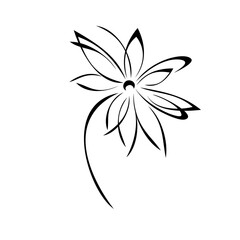 one stylized blooming flower on a short stalk without leaves in black lines on a white background