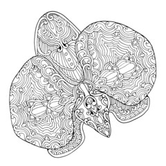 abstract black and white art design exotic natural blooming orchid seamless vector graphic isolated pattern with decorative floral paisley doodle style elements