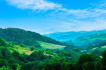 mountain slopes covered with green forest blue sky. Landscape of mountains.