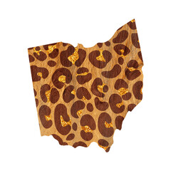 Political divisions of the US. Patriotic clip art in safari leopard print. State Ohio