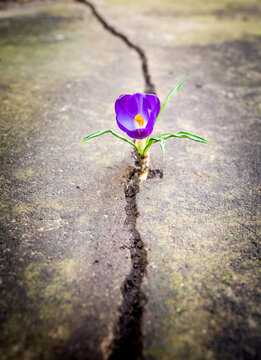 Where there's life there's hope