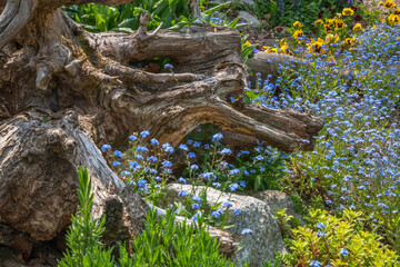 View of garden near Aphrodite in Rajecke Teplice. Slovakia